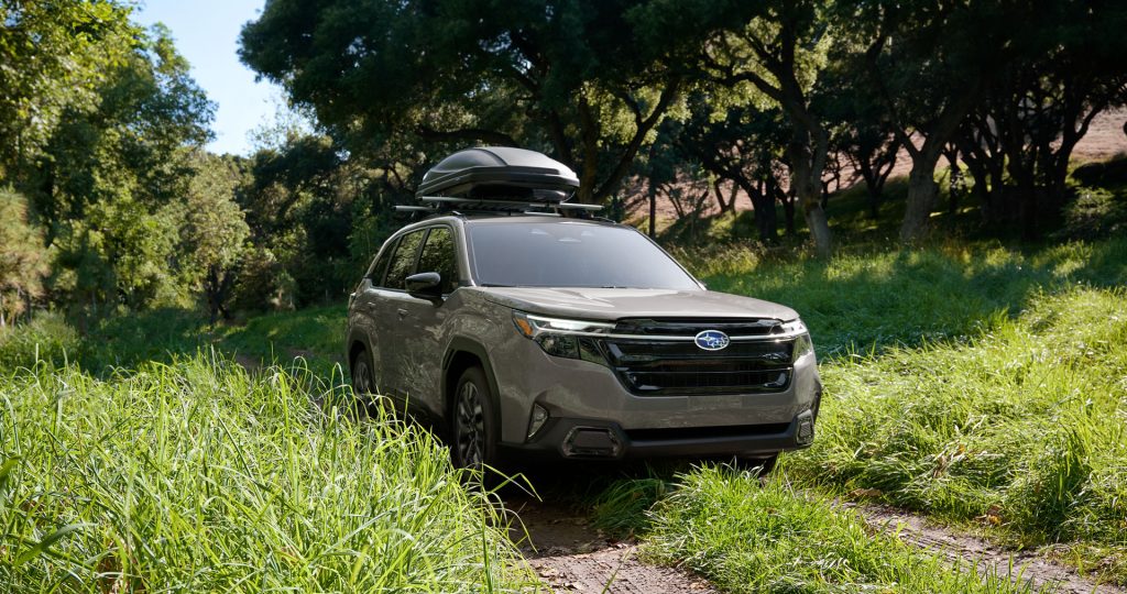 Taupe Subaru Forester with a black roof cargo box on a grassy trail.