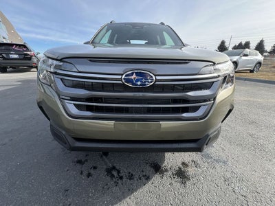 2025 Subaru Forester Hybrid Limited Hybrid