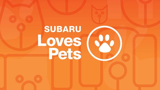 Wackerli Subaru in Idaho Falls ID