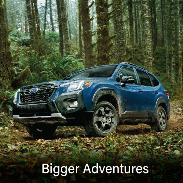 A blue Subaru outback wilderness with the words &ldquo;Bigger Adventures&ldquo;. | Wackerli Subaru in Idaho Falls ID