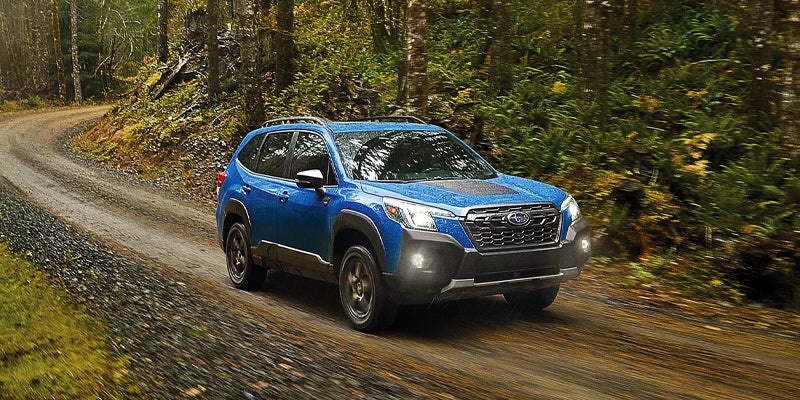 Subaru Forester on winding forest gravel road.