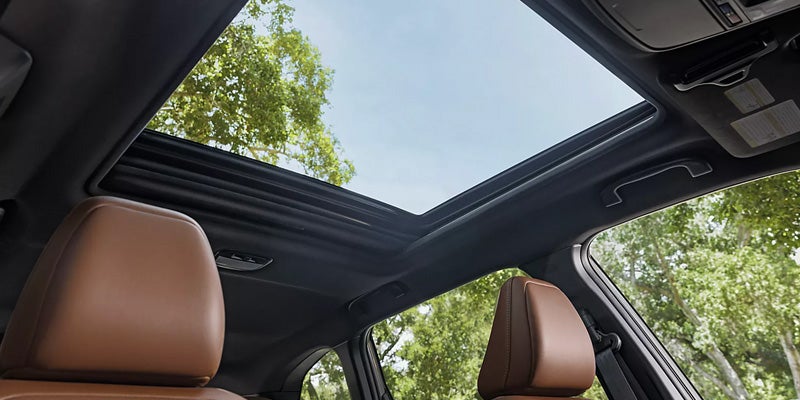 Interior of a 2026 Subaru Forester