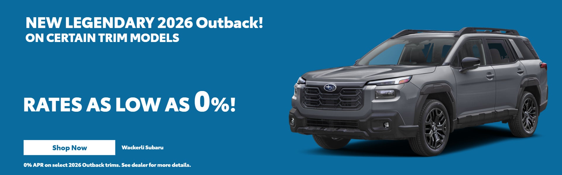 Gray Outback on offer