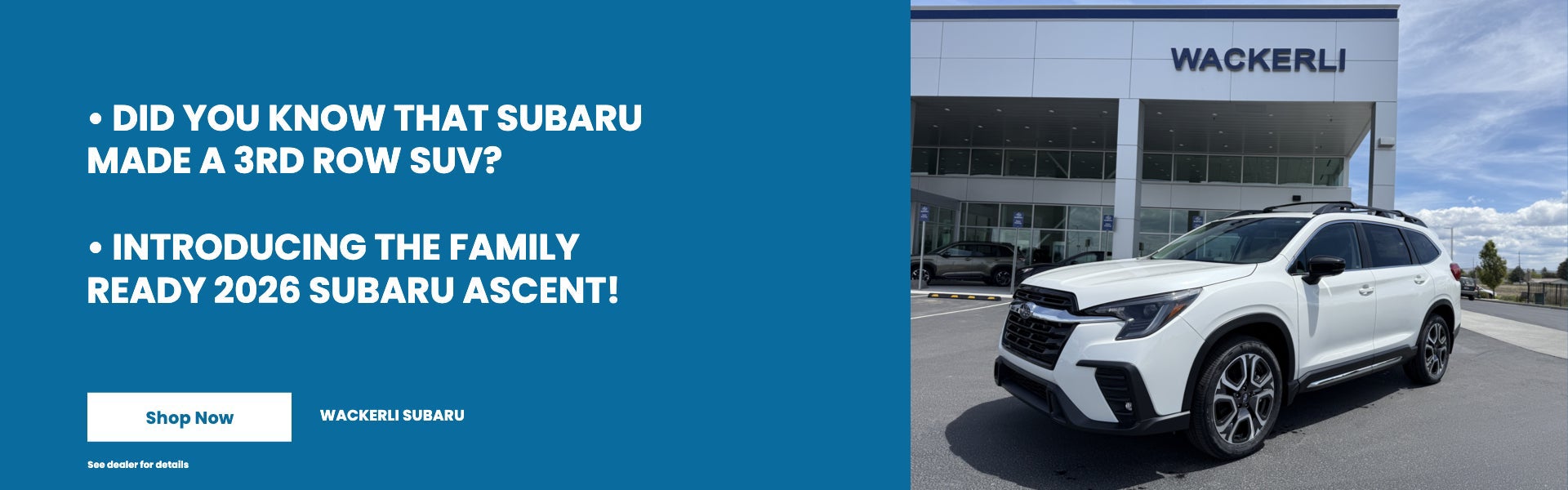 Did You Know that Subaru made a 3rd row SUV?