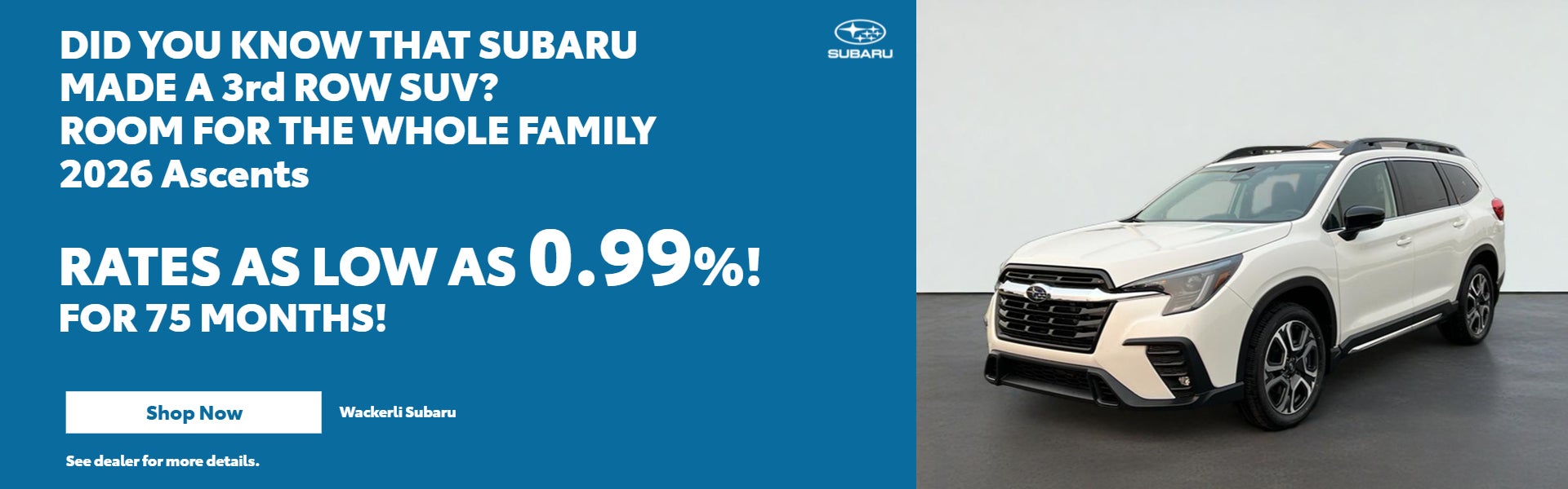 Did You Know that Subaru made a 3rd row SUV?
