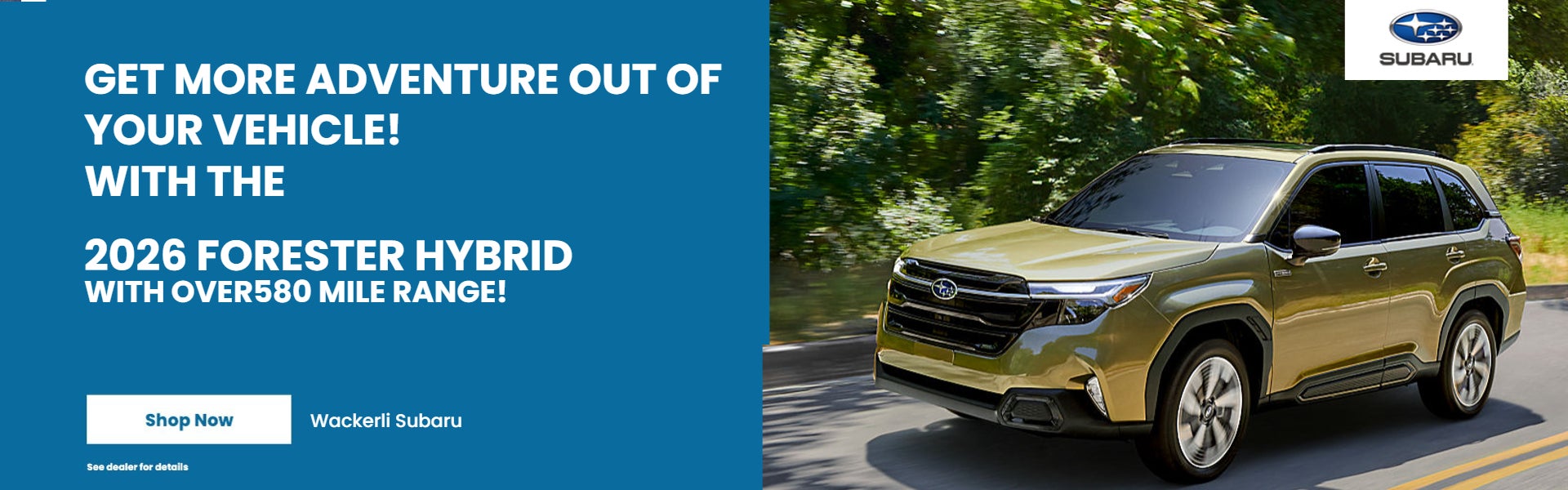 Golder Forester Hybrid on offer